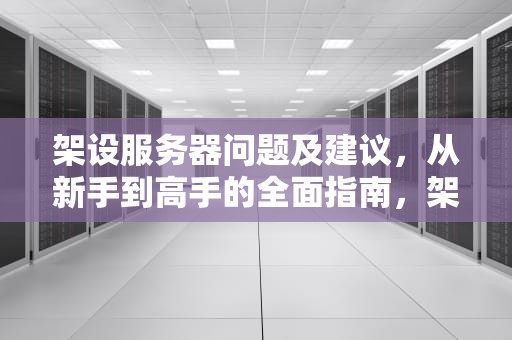 架设服务器问题及建议，从新手到高手的全面指南，架设服务器问题及建议怎么写