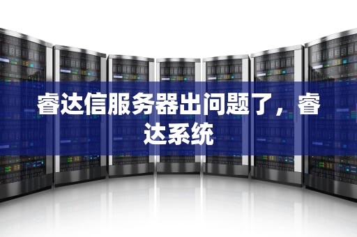 睿达信服务器出问题了，睿达系统