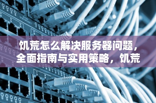 饥荒怎么解决服务器问题，全面指南与实用策略，饥荒怎么解决服务器问题视频