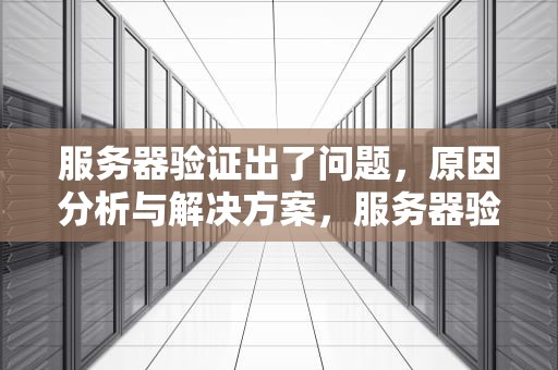 服务器验证出了问题，原因分析与解决方案，服务器验证出了问题怎么办