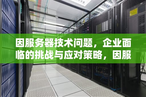 因服务器技术问题，企业面临的挑战与应对策略，因服务器技术问题怎么解决