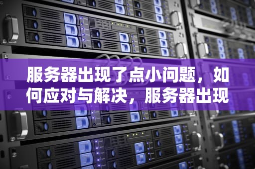 服务器出现了点小问题，如何应对与解决，服务器出现了点小问题怎么解决