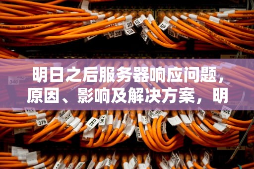 明日之后服务器响应问题，原因、影响及解决方案，明日之后服务器响应问题怎么解决