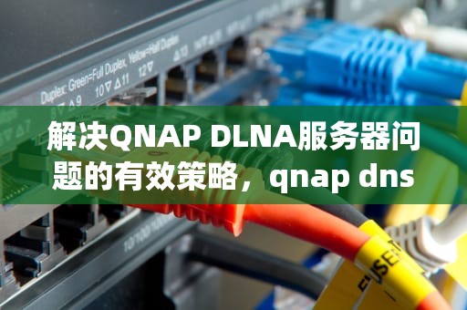 解决QNAP DLNA服务器问题的有效策略，qnap dns