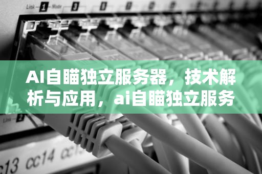 AI自瞄独立服务器，技术解析与应用，ai自瞄独立服务器是啥意思啊