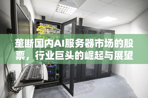垄断国内AI服务器市场的股票，行业巨头的崛起与展望，垄断国内ai服务器市场的股票有哪些