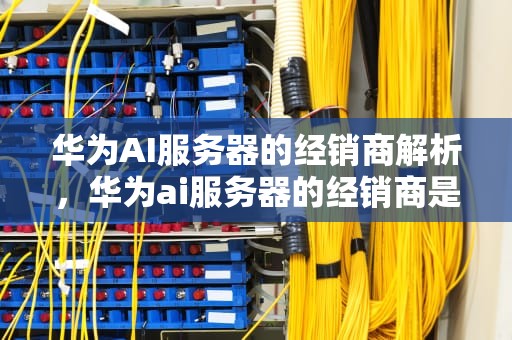 华为AI服务器的经销商解析，华为ai服务器的经销商是谁