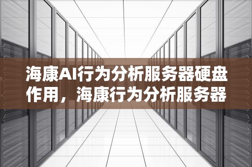 海康AI行为分析服务器硬盘作用，海康行为分析服务器多少钱一台