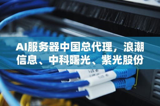AI服务器中国总代理，浪潮信息、中科曙光、紫光股份等，ai服务器中国总代理是谁啊