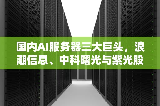 国内AI服务器三大巨头，浪潮信息、中科曙光与紫光股份的崛起，ai服务器国内三大巨头企业
