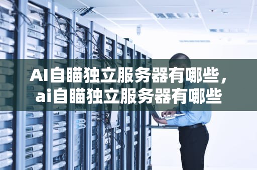 AI自瞄独立服务器有哪些，ai自瞄独立服务器有哪些