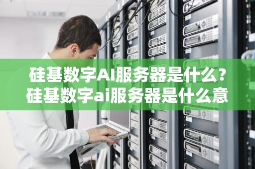 硅基数字AI服务器是什么？硅基数字ai服务器是什么意思