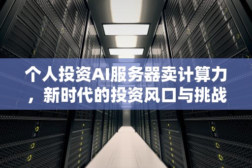 个人投资AI服务器卖计算力，新时代的投资风口与挑战，个人投资服务器怎么赚钱