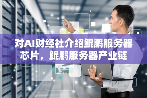对AI财经社介绍鲲鹏服务器芯片，鲲鹏服务器产业链