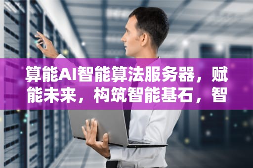 算能AI智能算法服务器，赋能未来，构筑智能基石，智能算法平台