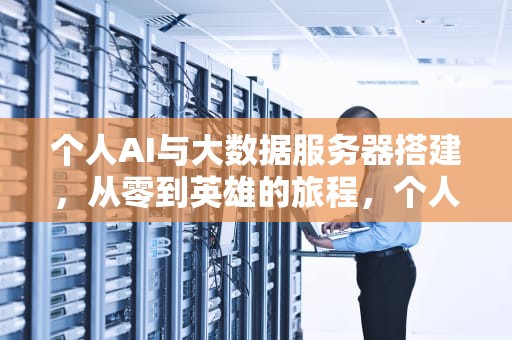 个人AI与大数据服务器搭建，从零到英雄的旅程，个人ai与大数据服务器搭建方案