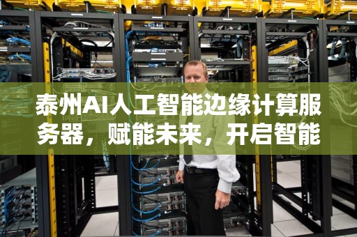 泰州AI人工智能边缘计算服务器，赋能未来，开启智能新时代，泰州ai人工智能边缘计算服务器有哪些
