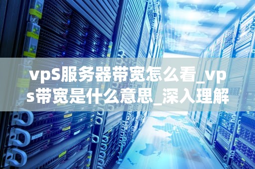 vpS服务器带宽怎么看_vps带宽是什么意思_深入理解VPs服务器带宽的查看与优化