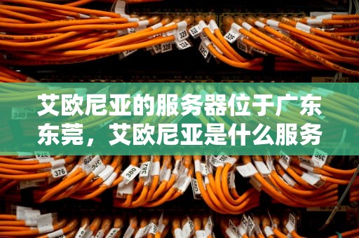 艾欧尼亚的服务器位于广东东莞，艾欧尼亚是什么服务器