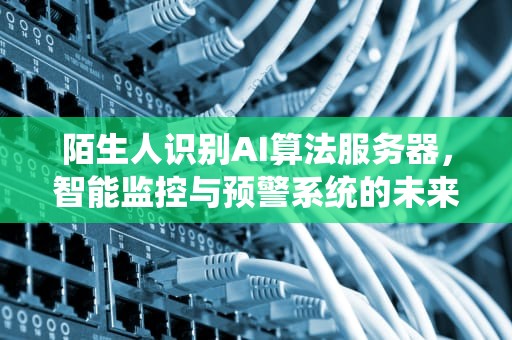 陌生人识别AI算法服务器，智能监控与预警系统的未来，陌生人识别ai算法服务器错误