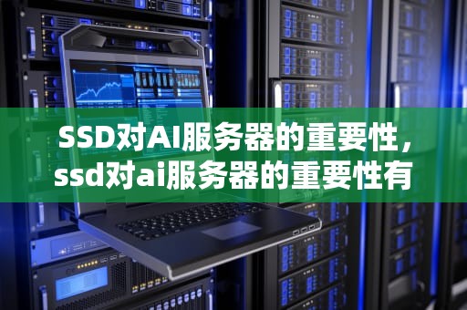SSD对AI服务器的重要性，ssd对ai服务器的重要性有哪些