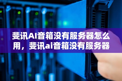 斐讯AI音箱没有服务器怎么用，斐讯ai音箱没有服务器怎么用啊