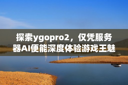 探索ygopro2，仅凭服务器AI便能深度体验游戏王魅力，ygopro 服务器