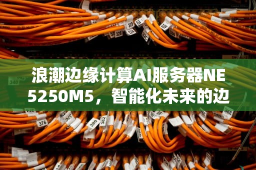 浪潮边缘计算AI服务器NE5250M5，智能化未来的边缘引擎，边缘计算服务器是什么