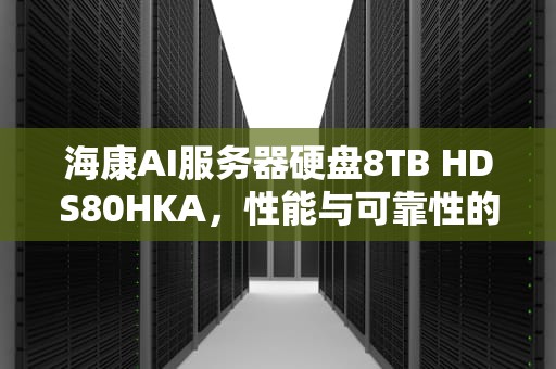 海康AI服务器硬盘8TB HDS80HKA，性能与可靠性的完美融合，海康威视服务器硬盘