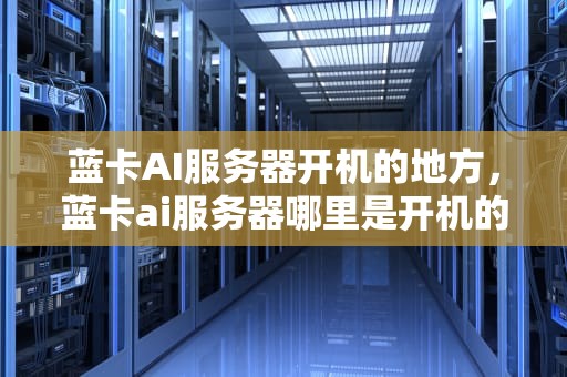 蓝卡AI服务器开机的地方，蓝卡ai服务器哪里是开机的地方啊