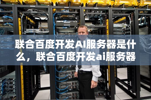 联合百度开发AI服务器是什么，联合百度开发ai服务器是什么意思