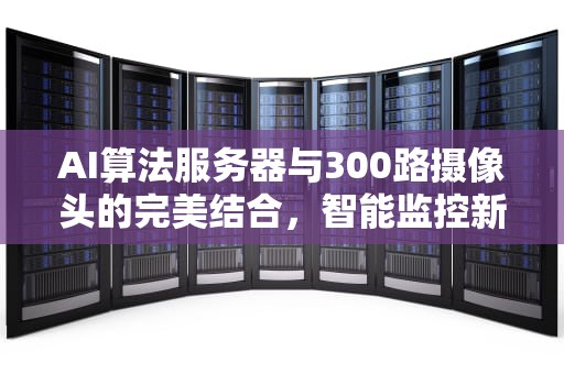 AI算法服务器与300路摄像头的完美结合，智能监控新纪元，ai算法服务器配置