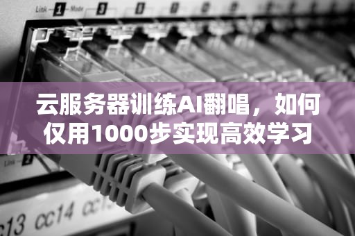 云服务器训练AI翻唱，如何仅用1000步实现高效学习