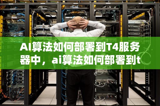 AI算法如何部署到T4服务器中，ai算法如何部署到t4服务器中