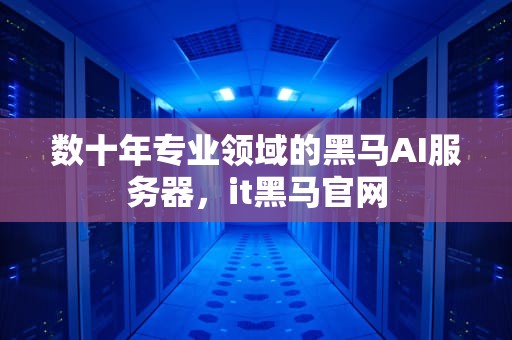 数十年专业领域的黑马AI服务器，it黑马官网