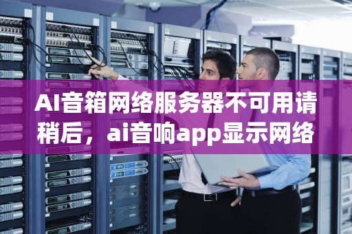 AI音箱网络服务器不可用请稍后，ai音响app显示网络服务有点问题