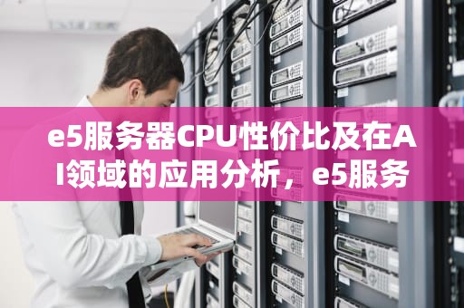 e5服务器CPU性价比及在AI领域的应用分析，e5服务器推荐