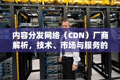 内容分发网络（CDN）厂商解析，技术、市场与服务的综合评估，cdn厂商有哪些