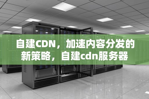 自建CDN，加速内容分发的新策略，自建cdn服务器