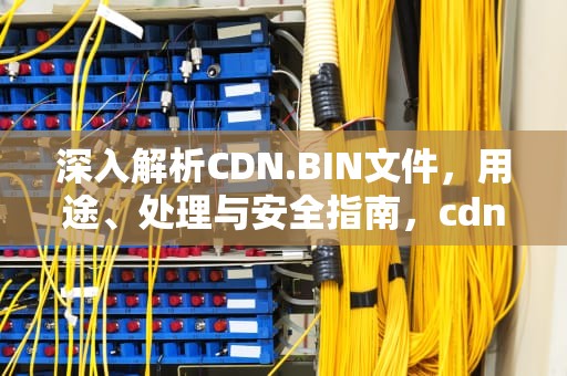 深入解析CDN.BIN文件，用途、处理与安全指南，cdn.bin是什么文件