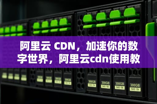 阿里云 CDN，加速你的数字世界，阿里云cdn使用教程