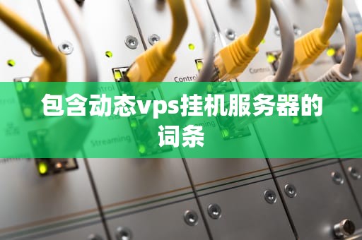 包含动态vps挂机服务器的词条