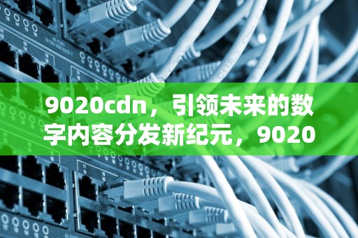 9020cdn，引领未来的数字内容分发新纪元，9020CDN加粉清零