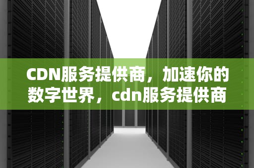 CDN服务提供商，加速你的数字世界，cdn服务提供商排名