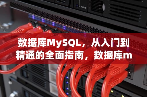数据库MySQL，从入门到精通的全面指南，数据库mysql语句大全