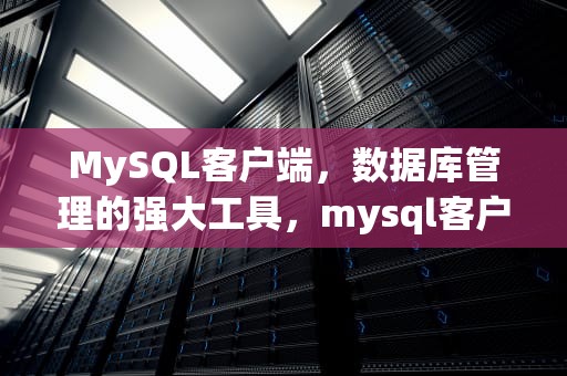 MySQL客户端，数据库管理的强大工具，mysql客户端和服务端区别