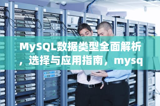 MySQL数据类型全面解析，选择与应用指南，mysql数据类型分为哪几种