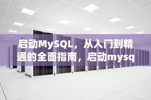 启动MySQL，从入门到精通的全面指南，启动mysql的命令是什么