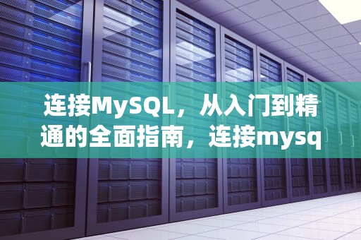 连接MySQL，从入门到精通的全面指南，连接mysql服务器的命令是什么