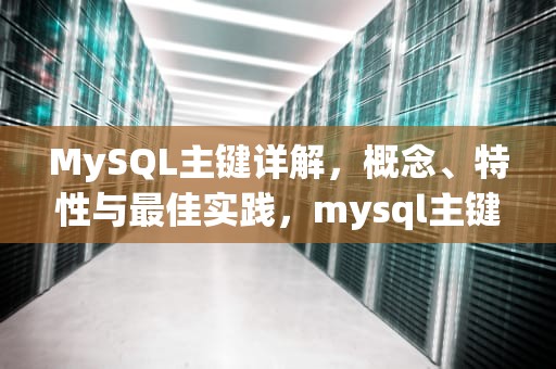 MySQL主键详解，概念、特性与最佳实践，mysql主键